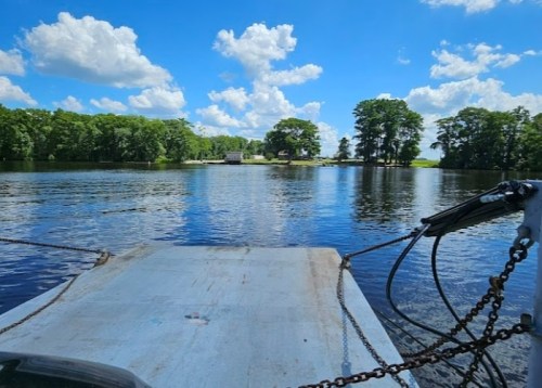 View from a boat on calm water, with lush green trees and a blue sky filled with fluffy clouds in the background.
