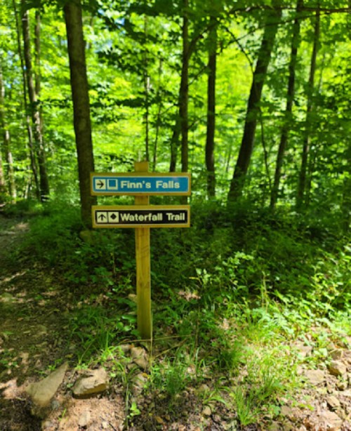 Signpost in a lush green forest directing to Finn's Falls and Waterfall Trail.