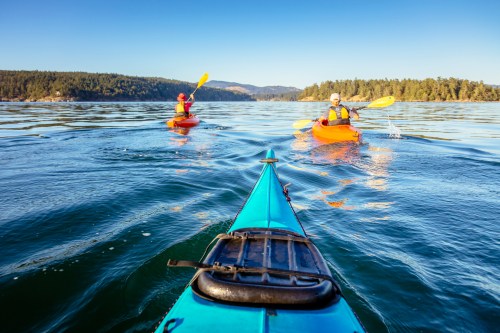 Two kayakers paddle on a calm lake, surrounded by trees and mountains under a clear blue sky.