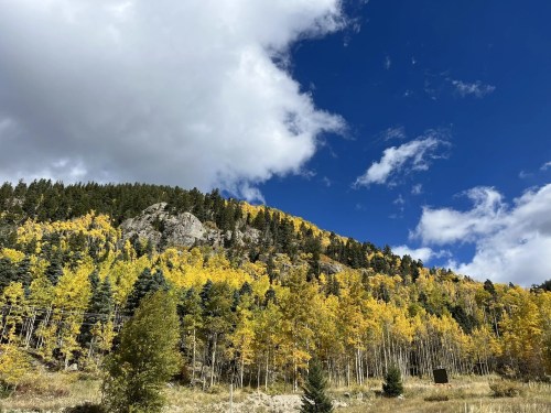 Vibrant autumn foliage on a hillside under a blue sky with fluffy clouds.