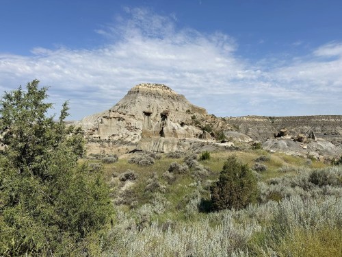 A rocky hill rises above a grassy landscape, with shrubs and a blue sky dotted with clouds in the background.