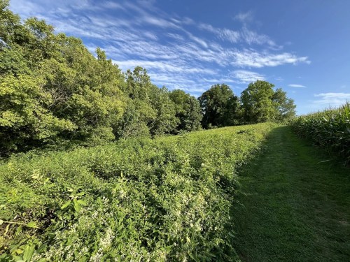 Lancaster Park in Pennsylvania