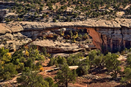 A natural stone arch spans a rocky landscape, surrounded by trees and rugged terrain under a clear blue sky.