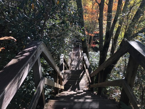 A wooden staircase descends through a lush forest with colorful autumn foliage in the background.