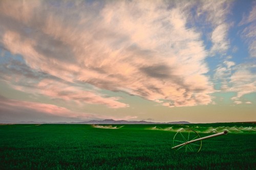 A lush green field under a colorful sky, with irrigation equipment in the foreground and mountains in the distance.