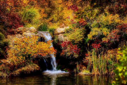 A serene waterfall surrounded by vibrant autumn foliage and lush greenery, reflecting in a calm pond.