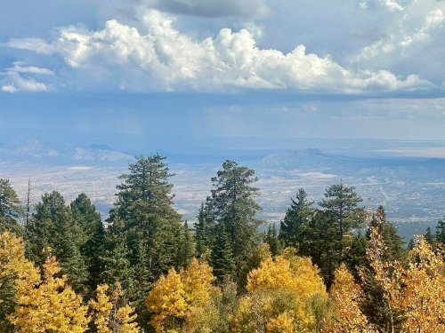 A scenic view of mountains and valleys, framed by trees with autumn foliage under a cloudy sky.