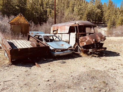 Abandoned vehicles, including a rusty truck and a damaged car, surrounded by trees and a dilapidated shed.