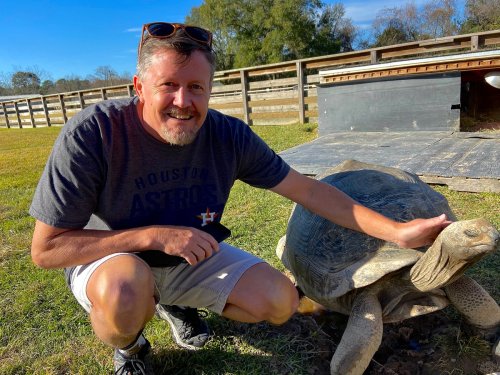 A man kneels beside a large tortoise, gently petting it in a sunny outdoor setting with a wooden fence in the background.