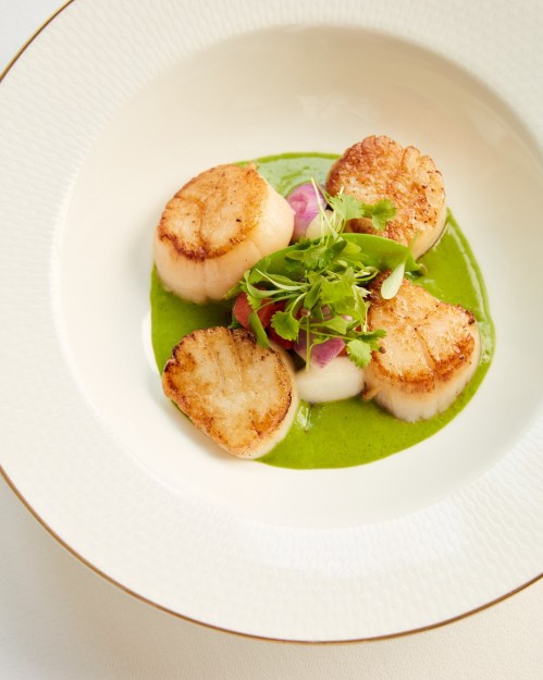 Three seared scallops on a bed of green sauce, garnished with herbs and accompanied by colorful vegetables.