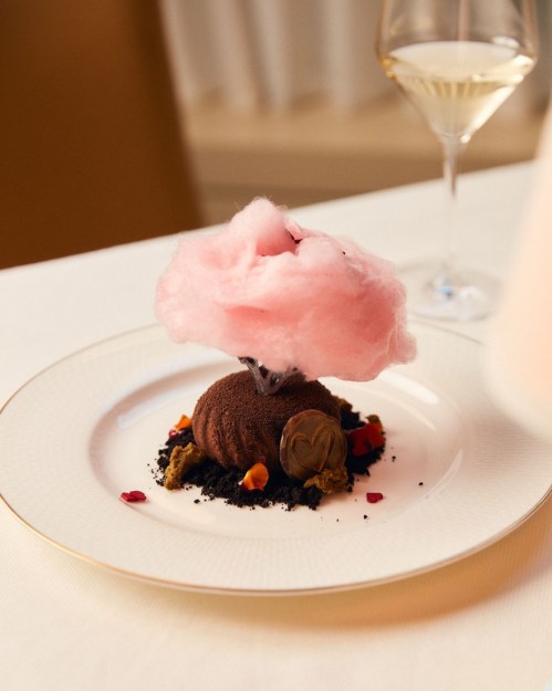A chocolate dessert topped with pink cotton candy, surrounded by crushed cookies and colorful edible flowers on a white plate.