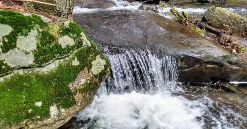 A serene stream flows over smooth rocks, with moss-covered stones and gentle waterfalls creating a tranquil scene.
