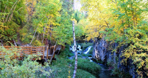 A serene forest scene with vibrant autumn foliage, a wooden walkway, and a gentle stream flowing through the landscape.
