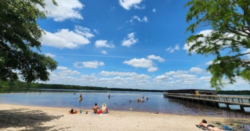 A sunny beach scene with people swimming and relaxing by the water, surrounded by trees and a blue sky with clouds.