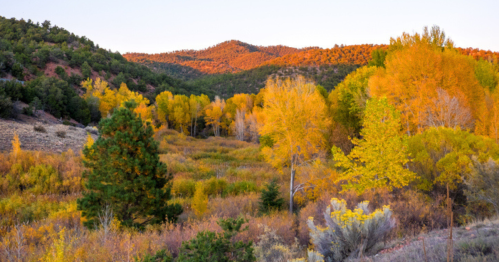 A vibrant autumn landscape with golden trees and rolling hills under a clear sky.