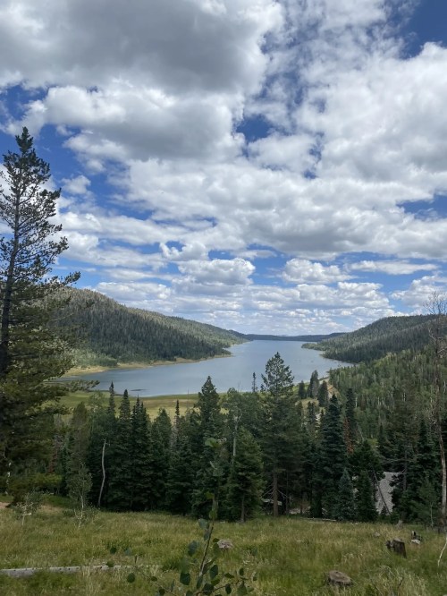 A serene lake surrounded by lush green trees and rolling hills under a partly cloudy sky.