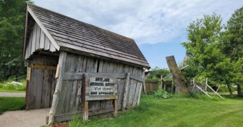 A rustic wooden shed with a slanted roof is surrounded by green summer foliage.