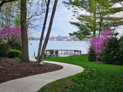A winding path leads to a serene lake view, framed by trees and blooming pink flowers.