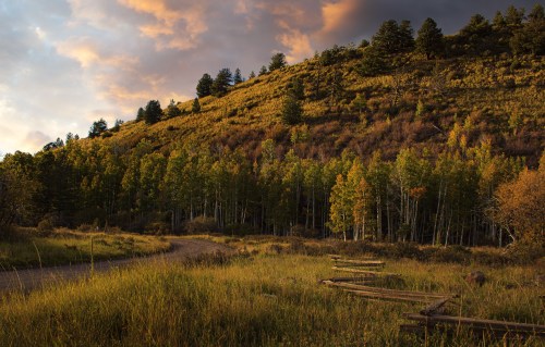 A winding dirt path leads through a vibrant landscape of trees and hills under a colorful sunset sky.