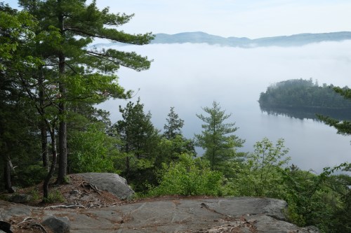 A serene landscape featuring a foggy lake surrounded by lush trees and distant mountains under a clear sky.