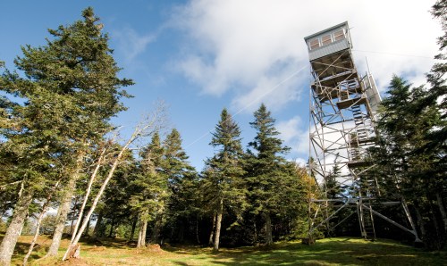 A tall observation tower surrounded by lush green trees under a partly cloudy sky.