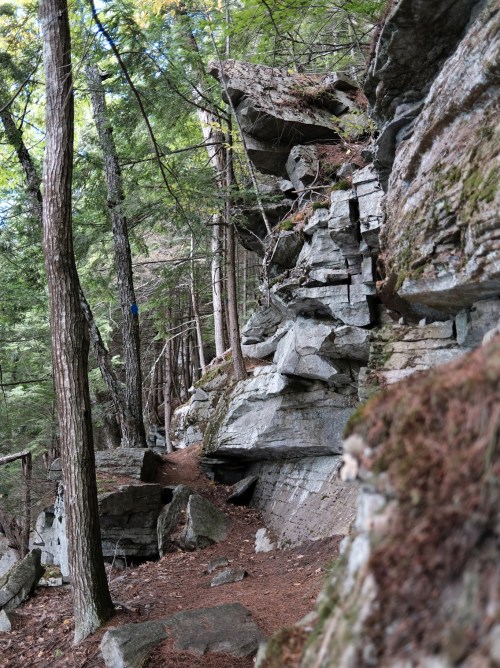 A rocky path winds through a forest, flanked by tall trees and moss-covered stones.