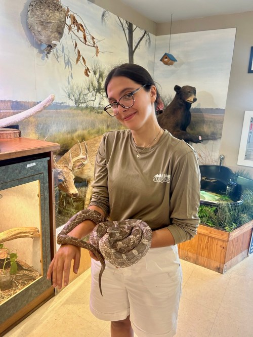 A young woman in a long-sleeve shirt holds a snake, with a nature exhibit featuring a bear in the background.