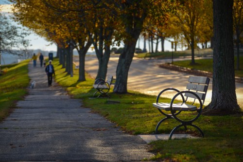 A peaceful walkway lined with trees and benches, with people walking in the distance on a sunny autumn day.