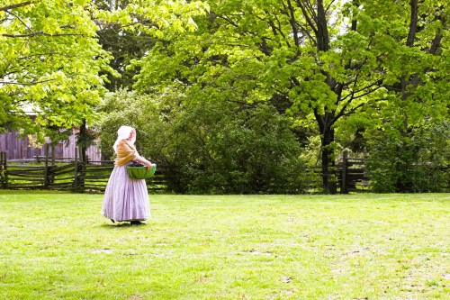 A woman in historical attire carries a green basket while walking through a lush, green field surrounded by trees.