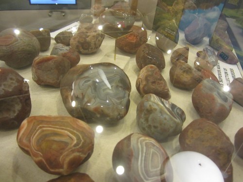 A display of various colorful agate stones under glass, showcasing their unique patterns and textures.