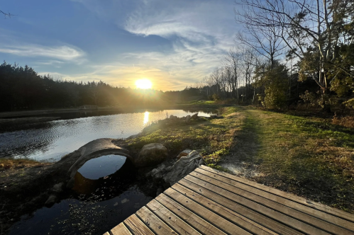 A serene landscape featuring a pond, a small wooden bridge, and a sunset behind trees, casting a warm glow.