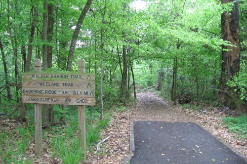 Trail signpost indicating Walker Branch Trail, Wetland Trail, and Backbone Ridge Trail, surrounded by lush greenery.