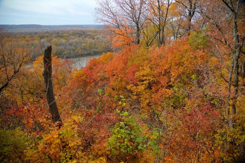A scenic view of vibrant autumn foliage with orange, red, and yellow leaves overlooking a river and distant hills.