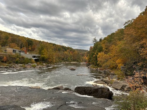 A scenic river flows through a forested area with autumn foliage under a cloudy sky.