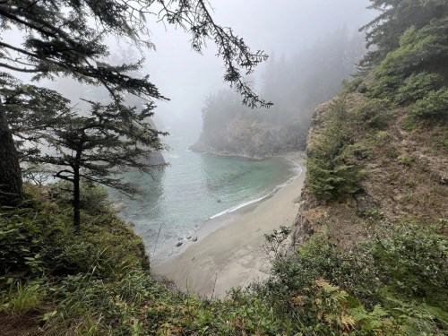A misty coastal scene with a secluded beach, surrounded by lush greenery and rocky cliffs.