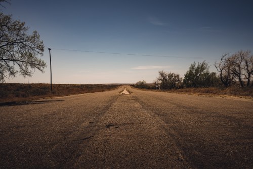 A deserted road stretches into the horizon, flanked by sparse trees under a clear blue sky.