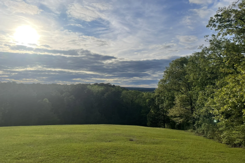A serene landscape featuring a grassy field, trees, and a cloudy sky with the sun shining in the background.