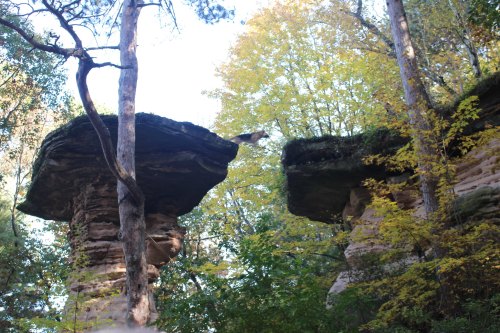 Two large rock formations stand amidst trees with autumn foliage, creating a natural, scenic landscape.
