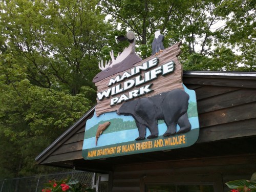 Sign for Maine Wildlife Park featuring various animal silhouettes and greenery in the background.