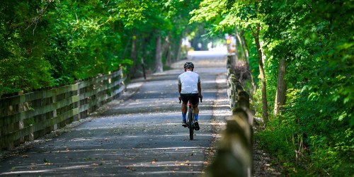 A cyclist rides along a tree-lined path, surrounded by lush greenery and wooden fencing.