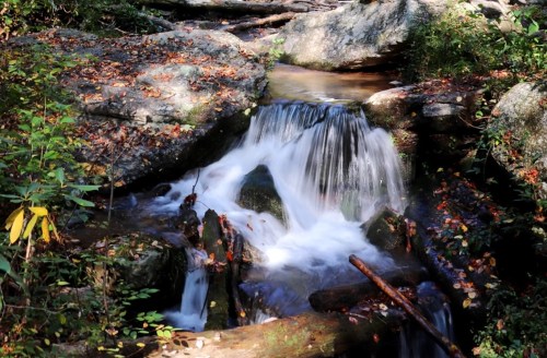 A serene waterfall cascades over rocks, surrounded by autumn leaves and lush greenery in a tranquil forest setting.