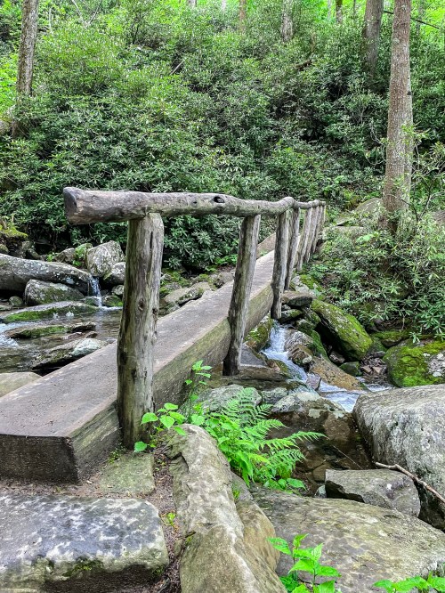 A wooden bridge spans a small stream, surrounded by lush greenery and rocky terrain in a forested area.