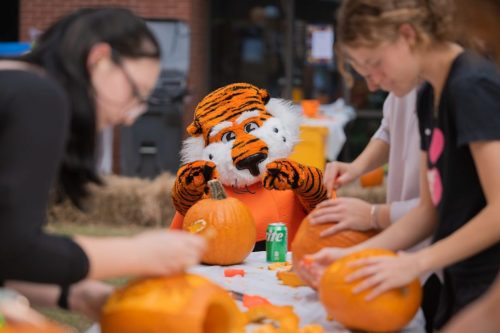 A tiger mascot sits at a table with students carving pumpkins, surrounded by autumn decorations and a soda can.