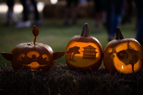 Three carved pumpkins with glowing designs: a smiling face, a tree, and a pagoda, set against a hay backdrop.