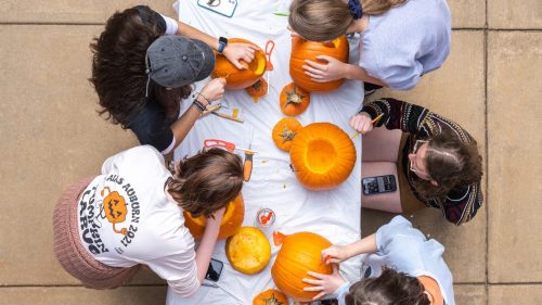 Aerial view of people carving pumpkins on a table, surrounded by tools and pumpkin guts.
