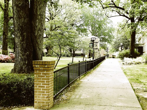 A peaceful pathway lined with trees and lampposts, leading through a green park area.