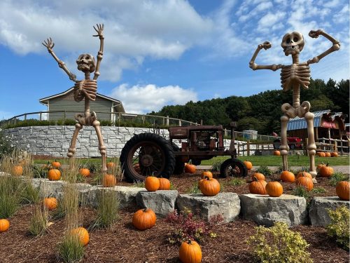 Two large skeleton decorations stand beside a vintage tractor, surrounded by pumpkins and a scenic landscape.
