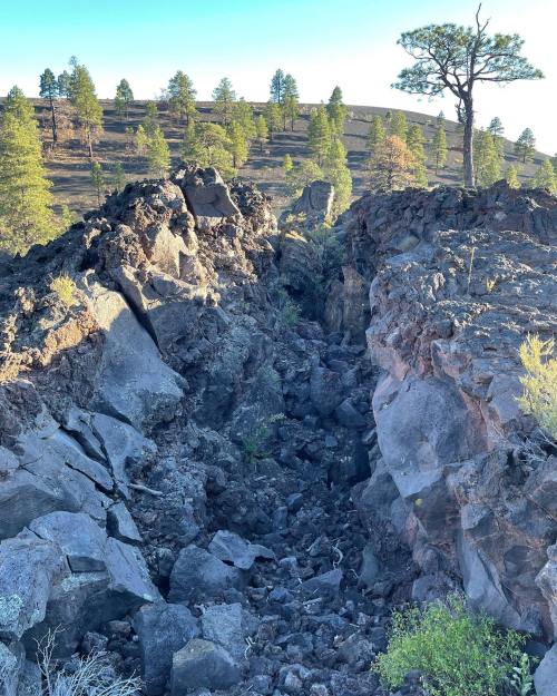 A rocky fissure in a volcanic landscape, surrounded by sparse trees and a clear blue sky.