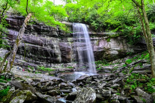 A serene waterfall cascades down rocky cliffs, surrounded by lush green trees and foliage.