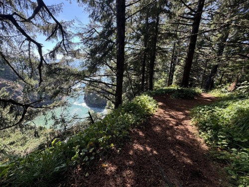 A scenic forest trail winding through tall trees, overlooking a river and lush greenery under a clear blue sky.